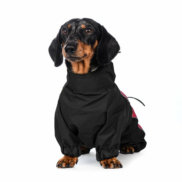 Комбинезон теплый для собак мелких пород Такса кроличья 35x32x47см XL винная ягода, девочка