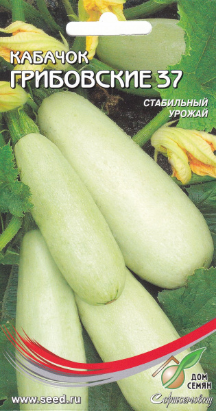 

Семена Дом семян кабачок Грибовский 37