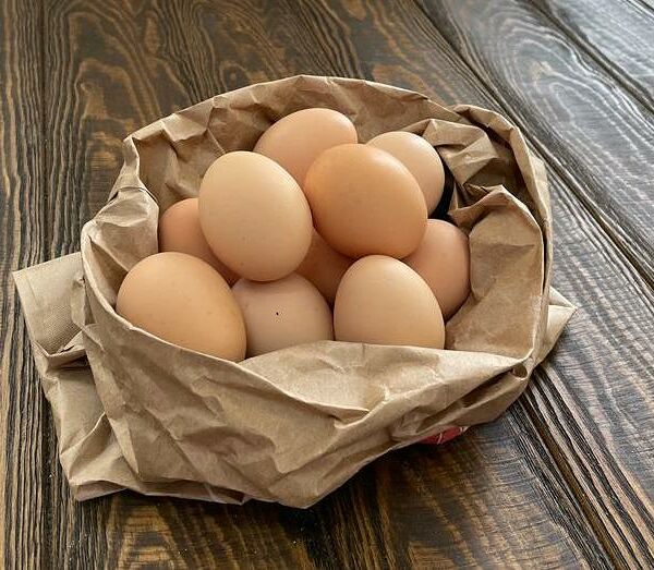 Яйцо домашнее от молодых курочек
