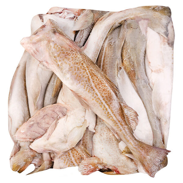 Треска мурманская замороженная 0,5-1 кг ОПТ