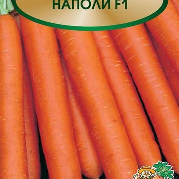 Семена Морковь Наполи ТМ Поиск