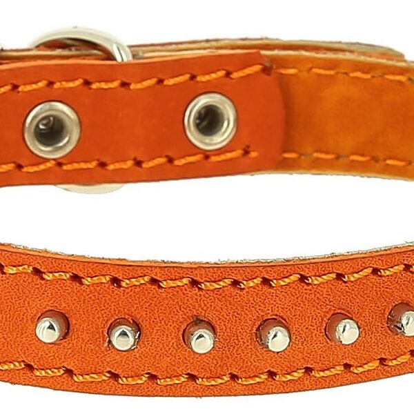 Каскад ошейник кожаный двойной с шипами-ёж 44-53см, в ассортименте