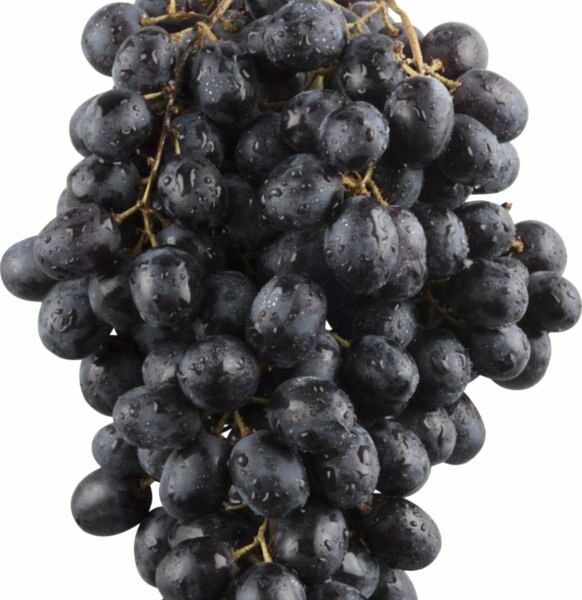 Виноград Кишмиш темный