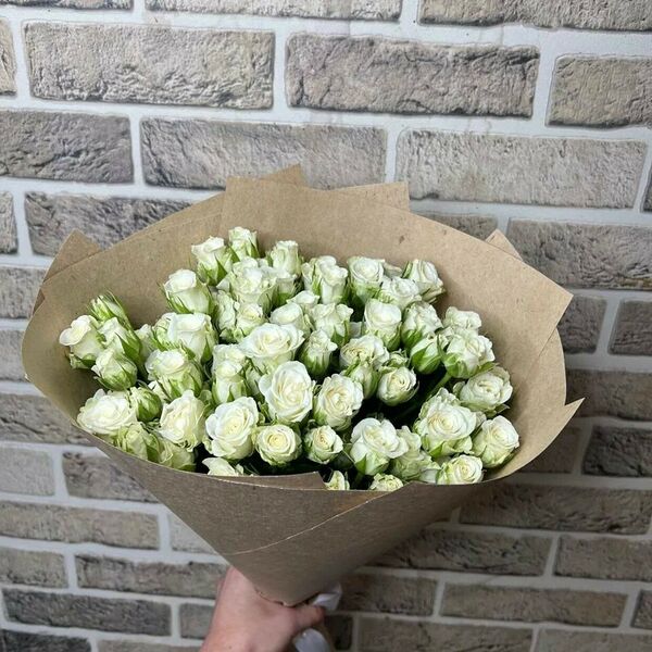 Роза кустовая