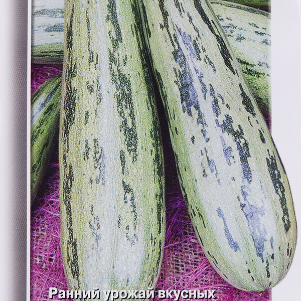 Семена ПОИСК Кабачок Зебра, 12шт