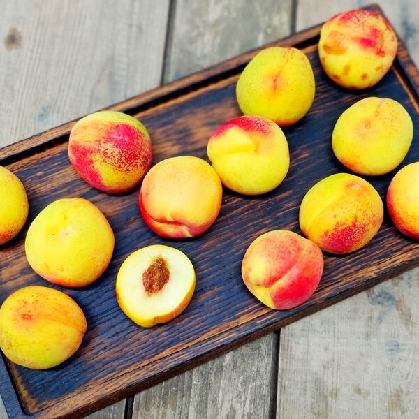 Нектарин мини Узбекистан