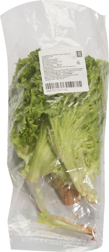 

Салат свежий Лолло Бионда 150 г