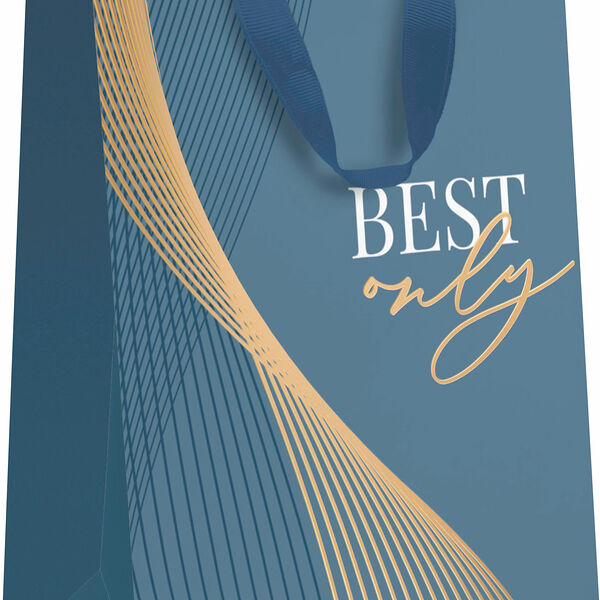 Пакет Пакетико подарочный матовая ламинация с тиснением Lv 31.5х25.5см,дизайн в ассортименте 1 шт