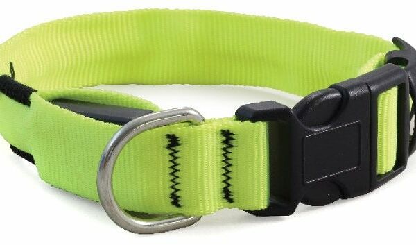 Ошейник светодиодный NIGHT CITY неоновый желтый S, USB, 20*230-310мм
