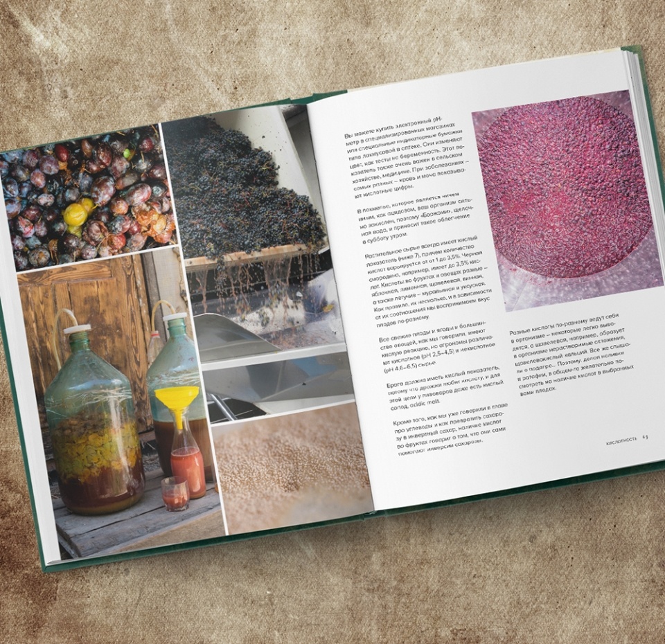 

Книга Прозрачный дистиллят и мутный самогон. Пособие. Тузмухамедов Эркин Раисович, Россия