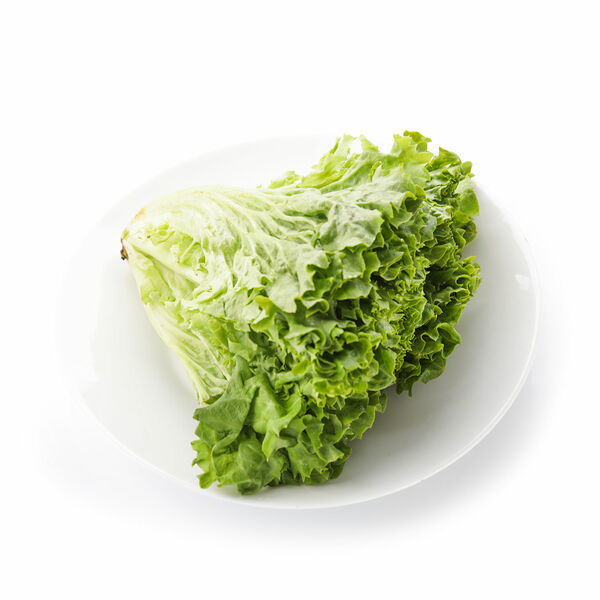 Салат листовой Краснодар