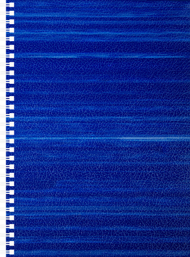 Тетрадь OFFICESPACE А4, 96 листов, в клетку, на спирали, Арт. Тсп4бв96к