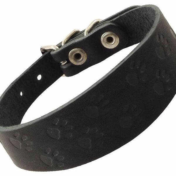 Ошейник для собак c тиснением лапки, косточки, в ассортименте, 32 см