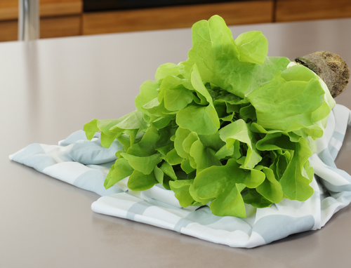 

Салат Дуболистный зелёный, 1 шт 150 г