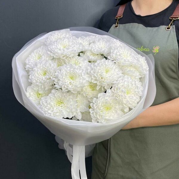 5 Кустовых хризантем