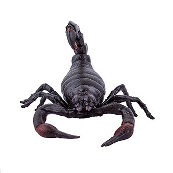 Игрушка-антистресс Kiddie Play императорский скорпион YYL Co.,Ltd. 1шт Китай