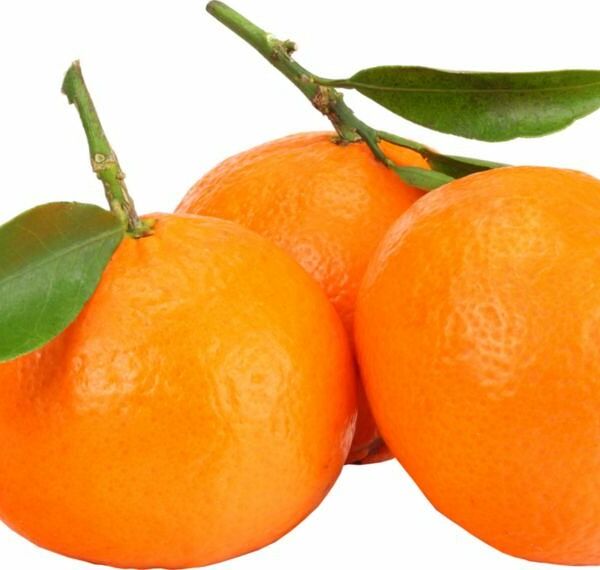 Мандарины с листом вес