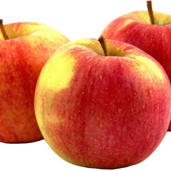 Яблоки сезонные Россия вес