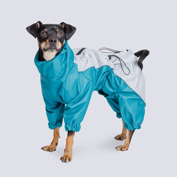 Дождевик Rungo Вест-хайленд-уайт-терьер, Джек-рассел-терьер, мальчик, светло-серый