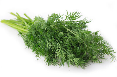 Укроп Green Vitamin 100 г