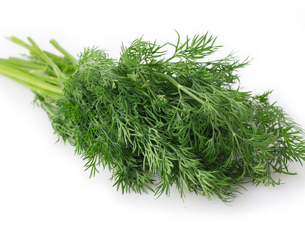 Укроп Green vitamin 100 г