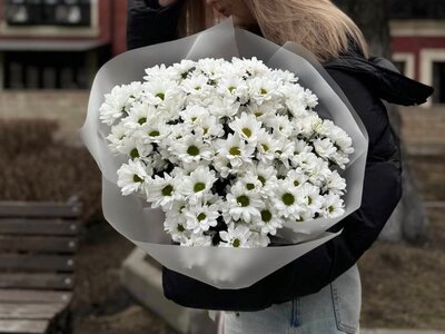 Букет из кустовых ромашковых хризантем