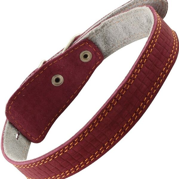 Гамма ошейник кожаный двойной 25мм*530мм