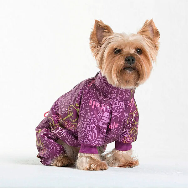 Комбинезон для собак Ирис S (унисекс)