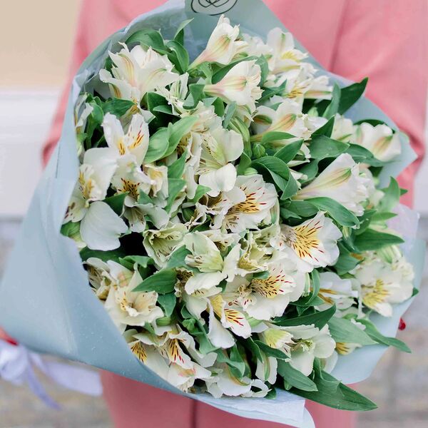 Букет из 25 белых альстромерий