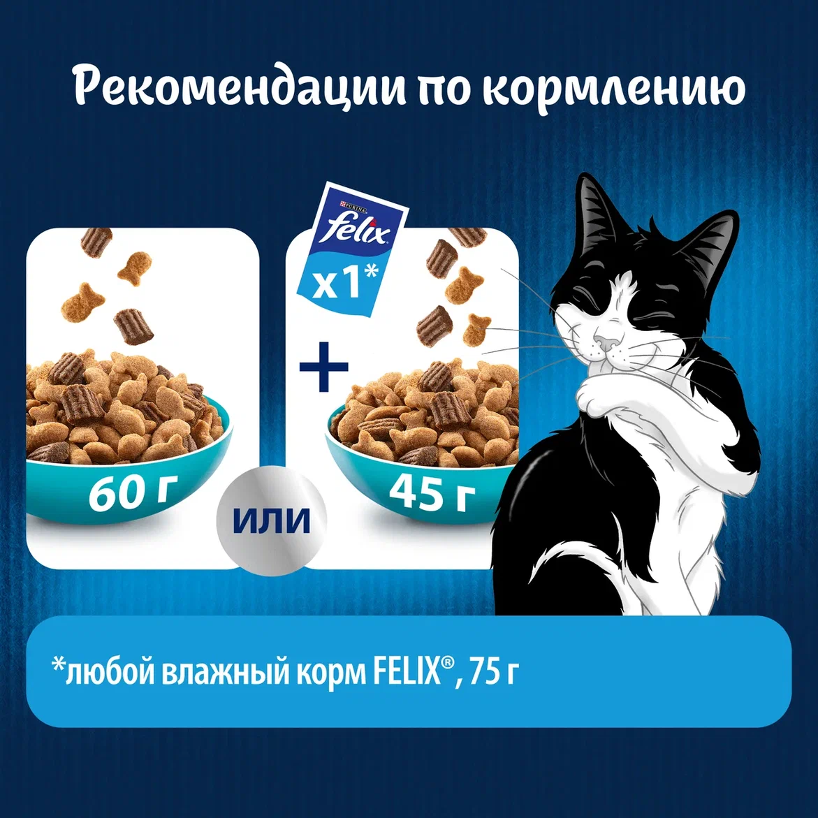 

Сухой корм Felix Двойная Вкуснятина для взрослых кошек с рыбой 200 г