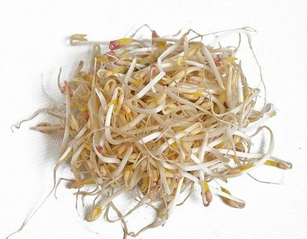 Проростки фасоли Маш