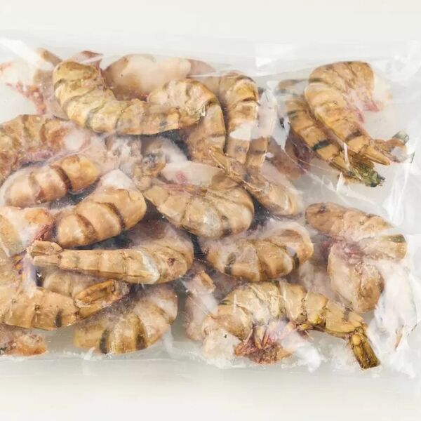 Тигровая в панцире 21/25