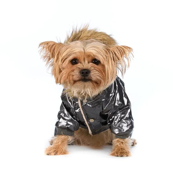 Комбинезон с капюшоном для собак S серый (унисекс)