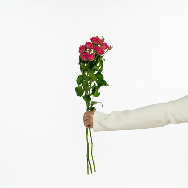 3 Кустовые розы