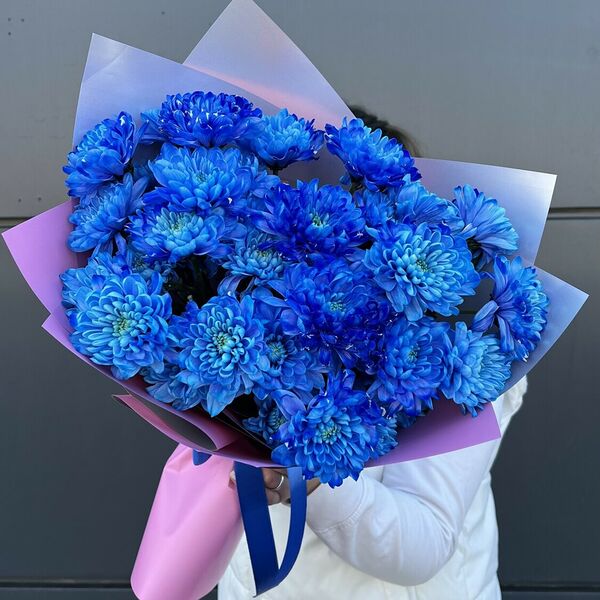 Букет из синих хризантем