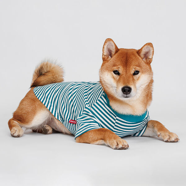 Petmax Футболка зеленая полоска с мишкой 3XL