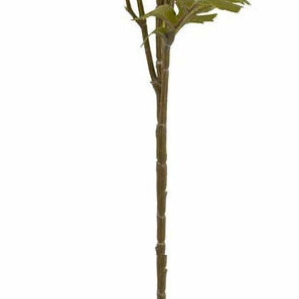 Цветок искусственный Decoland Эхинопс кремовый, 61 см