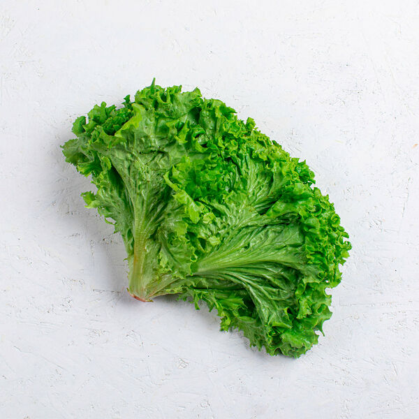 Салат листовой