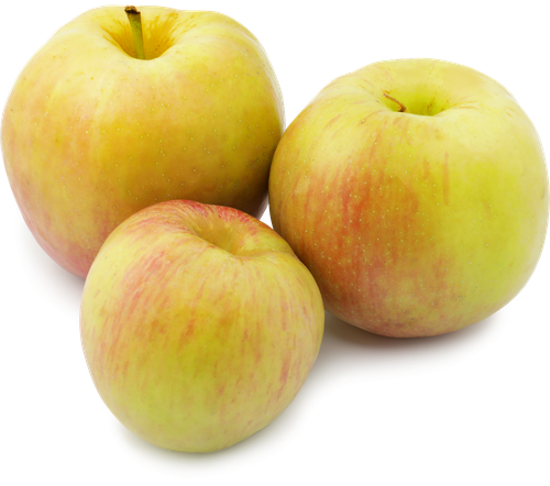 

Яблоки Жигулевские, весовые