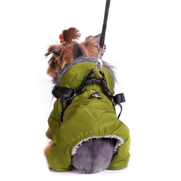 Комбинезон со шлейкой для собак XS зеленый (унисекс)