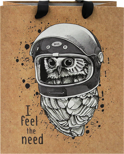 Пакет подарочный Meshu Space Owl, 18х23х10 см, выборочный лак, крафт