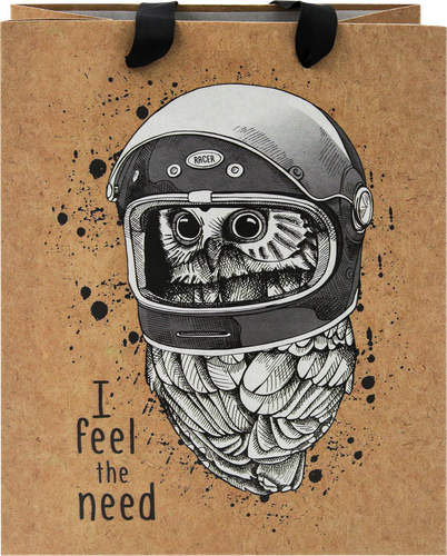 

Пакет подарочный Meshu Space Owl, 18х23х10 см, выборочный лак, крафт