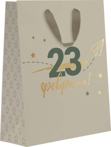 

Пакет подарочный Kvant 7, 22,7х18х10см, с тиснением Арт. MT, в ассортименте