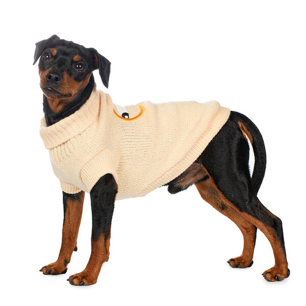 Свитер Petmax для собак 50см 3XL бежевый (унисекс)