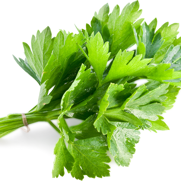 Кинза свежая 50г