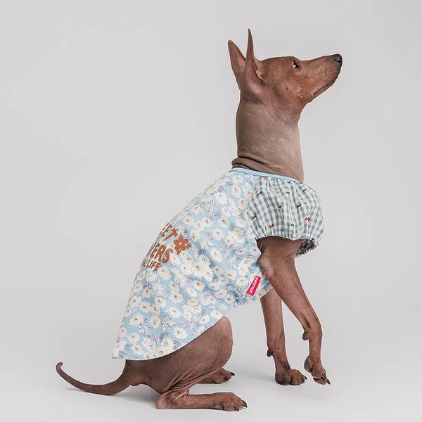 Футболка для собак Petmax 2XL голубая с белыми цветочками