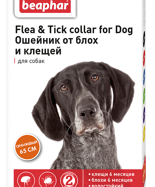Ошейник для собак Beaphar от блох оранжевый 65 см