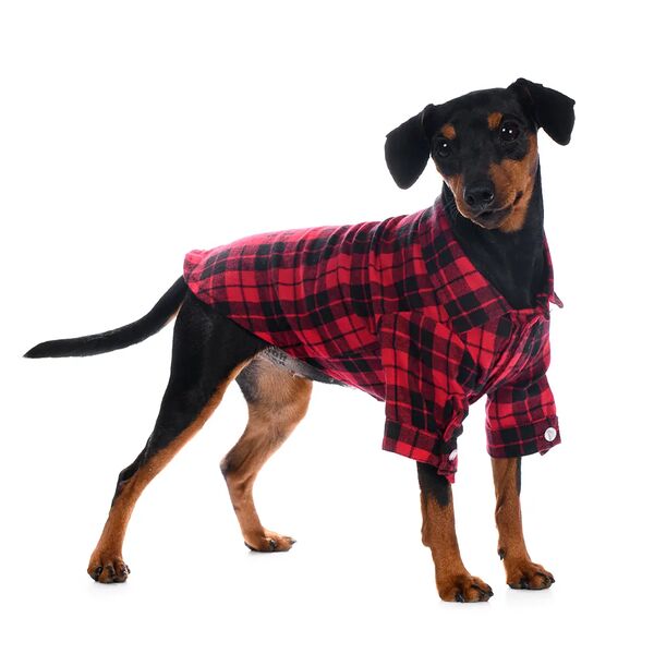 Рубашка для собак XL красный (унисекс)