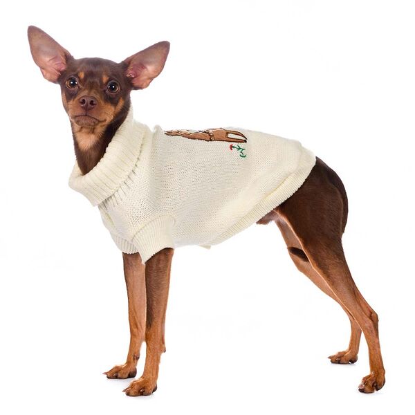Свитер для собак Лама 55см 4XL бежевый (унисекс)