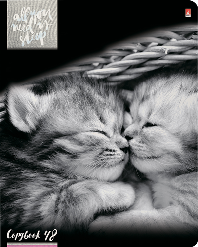 

Тетрадь Альт Котята Мур-мур А5 48 листов 1 шт в ассортименте